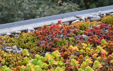the cost of Hundleton green roof installation