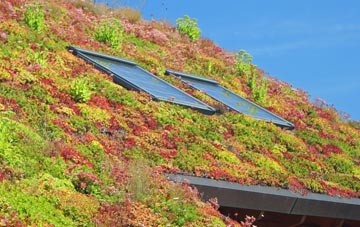 Hundleton living roof systems