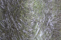 Hundleton fibreglass roof work